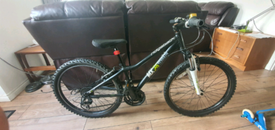ridgeback mx24 2014